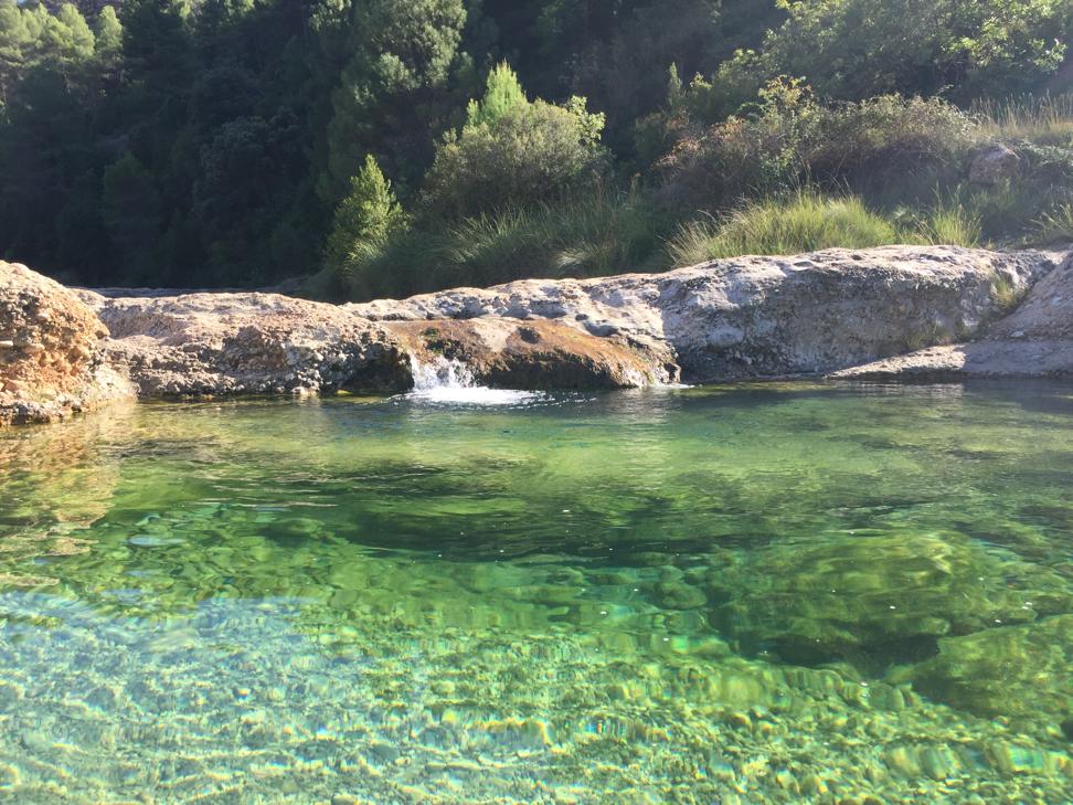 Naturswimmingpool